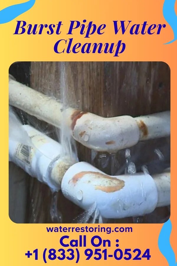 Burst Pipe Water Cleanup in Stony Brook University, NY