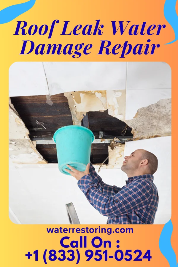 Roof Leak Water Damage Repair in Stony Brook University, NY