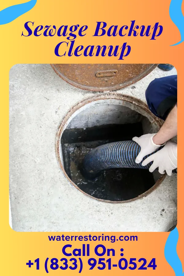 Sewage Backup Cleanup in Stony Brook University, NY